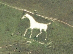 Alton white horse (Art) - cache image