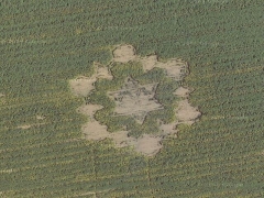 Avebury crop circle (Crop circle)