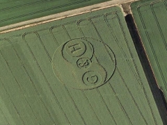 Google Heart crop circle (Crop circle)