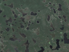 Pantanal pollution (Pollution)