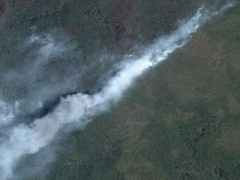 Burn in amazonia (Event) - cache image