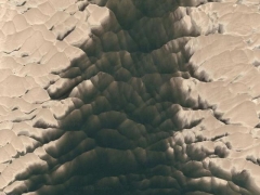 Reptilian skin (Landscape) - cache image