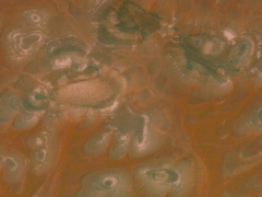 Orange relief (Landscape) - cache image