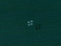 4 aircraft very close. (Army) - cache image