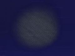 Sea star (Landscape) - cache image