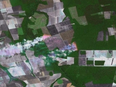 Burning Amazon (Pollution) - cache image