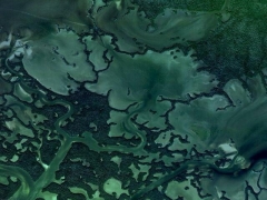 Greener (Landscape) - cache image