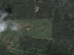 Deforestation in Malaisia 2 (Pollution) - cache image