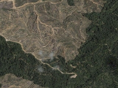 Deforestation in Malaisia 4 (Pollution) - cache image