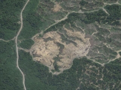 Deforestation in Malaisia 5 (Pollution) - cache image