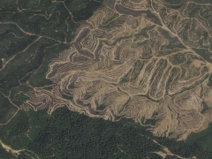 Deforestation in Malaisia 7 (Pollution) - cache image