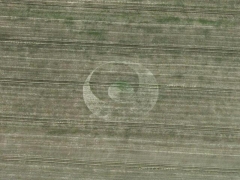 Southend-on-Sea Crop circle (Crop circle)