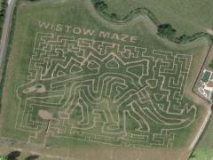 Dino maze (Art) - cache image