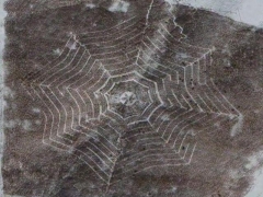 Giant spiderweb field (Art) - cache image