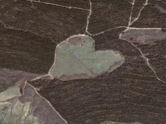 Heart field (Look Like) - cache image