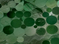 Green bubbles (Look Like) - cache image