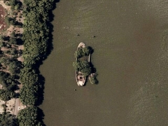 Mangrove boat
