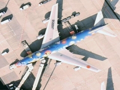 Flower plane (Transportation) - cache image