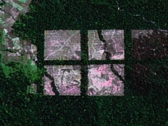 Window on deforestation (Pollution) - cache image