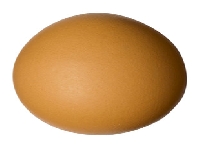 Egg roundabout (Look Like) - similarity