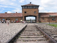 Auschwitz (War) - similarity