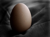 Eggs (Landscape) - similarity