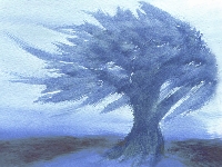 Blue tree (Look Like) - similarity
