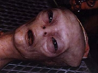 Alien 

face (Look Like) - similarity
