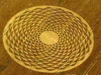 Crop 8 (Crop circle) - similarity
