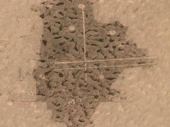 Camouflaged base (Army) - cache image
