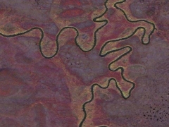 Cord river (Landscape)