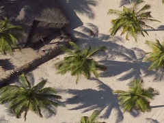 Palm tree (Construction) - cache image