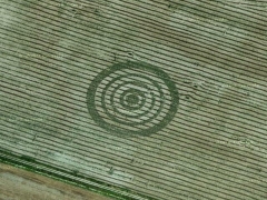 Collingbourne Ducis crop circle (Crop circle)