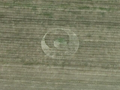 Essex crop circle (Crop circle) - cache image