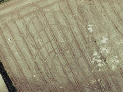 Avebury crop circle (Crop circle) - cache image
