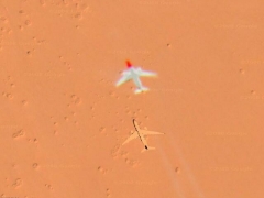 Clown plane (Ghost) - cache image