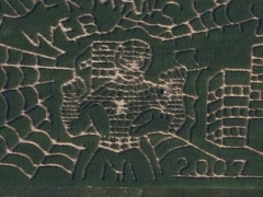 Spiderman field (Art)