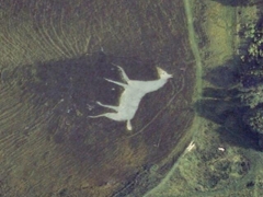Cherhill White Horse (Art) - cache image