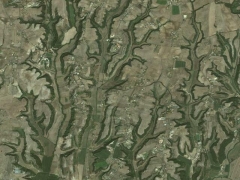 Burning Rome (Look Like)