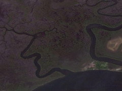 Thinking face ... (Look Like)