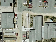 Whale skeleton (Giant)