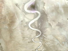 Baja snake (Landscape) - cache image