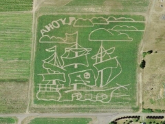 Pirate field (Art)
