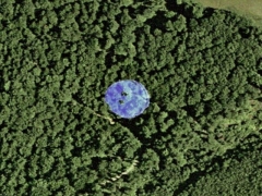 Plasma UFO (UFO) - cache image