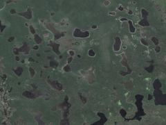Pantanal (Landscape)