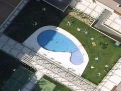 Whale pool (Look Like)