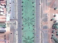 Giant flowers (Giant)