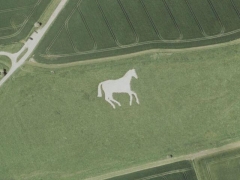 New Devizes White Horse (Art) - cache image