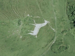Cherhill/Oldbury white horse (Art)