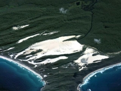 Sand vs tree (Landscape)